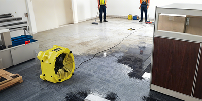 P2 12.19 847×423 轻微水损修复场景 P2 12.19 847×423 轻微水损修复场景